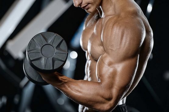 Omnitrope 30 IU Sandoz Steroid-Kurs Omnitrope 30 IU Sandoz Steroid-Kurs
