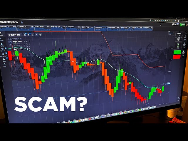Contact Pocket Option Your Gateway to Trading Success Contact Pocket Option Your Gateway to Trading Success