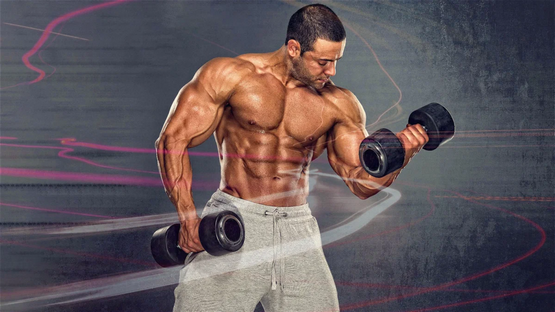Steroids: Understanding Their Usage, Effects, and Risks Steroids: Understanding Their Usage, Effects, and Risks