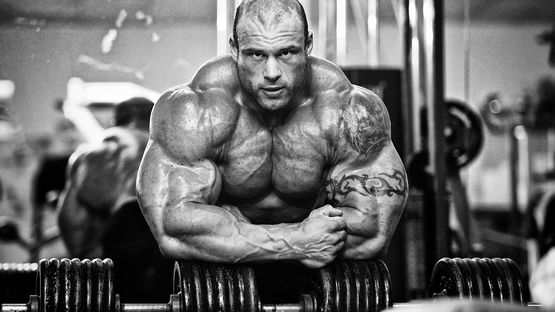 Sustanon 250 mg Magnus Pharmaceuticals Sustanon 250 mg Magnus Pharmaceuticals