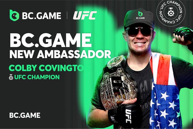 Exploring the BC Game Mirror Your Gateway to Fun and Rewards