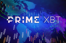 Complete Guide to PrimeXBT FAQ Complete Guide to PrimeXBT FAQ