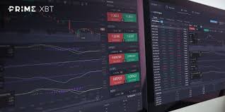 The Growth and Innovation of the PrimeXBT Team